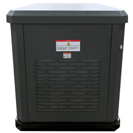 Генератор газовый EVOline GNG 9350 E