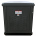 Генератор газовый EVOline GNG 9350 E