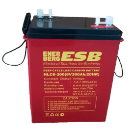 Тяговый аккумулятор ESB HLC6-300 (6В/258Ач-C5/Carbon)