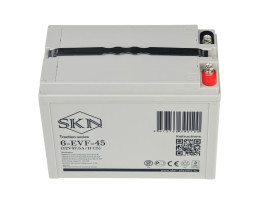 Тяговый аккумулятор SKN 6-EVF-45 (12В/45Ач-C5/Gel)