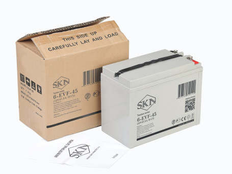 Тяговый аккумулятор SKN 6-EVF-45 (12В/45Ач-C5/Gel)