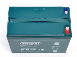 Тяговый аккумулятор Gelbert 6-EVF-45 (12В/47,5Ач-C5/Gel)