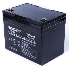Тяговый аккумулятор EVEREST Energy TNE 12-40 (12В/34Ач/Gel)