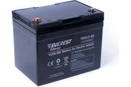 Тяговый аккумулятор EVEREST Energy TNE 12-40 (12В/34Ач/Gel)