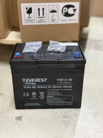 Тяговый аккумулятор EVEREST Energy TNE 12-40 (12В/34Ач/Gel)
