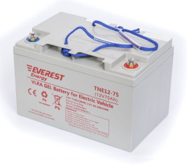 Тяговый аккумулятор EVEREST Energy TNE 12-75 (12В/66Ач/Gel)
