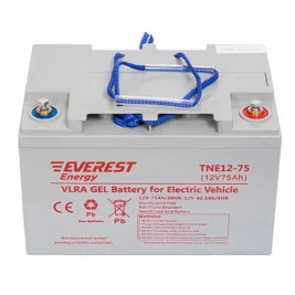 Тяговый аккумулятор EVEREST Energy TNE 12-75 (12В/66Ач/Gel)