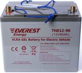 Тяговый аккумулятор EVEREST Energy TNE 12-90 (12В/76Ач/Gel)