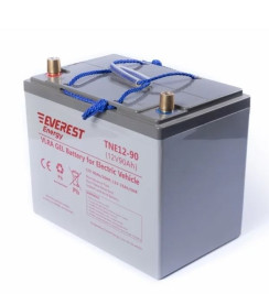 Тяговый аккумулятор EVEREST Energy TNE 12-90 (12В/76Ач/Gel)