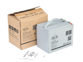Тяговый аккумулятор SKN 6-EVF-55 (12В/58,5Ач-C5/Gel)