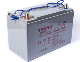 Тяговый аккумулятор EVEREST Energy TNE 12-125 (12В/106Ач/Gel)