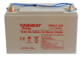 Тяговый аккумулятор EVEREST Energy TNE 12-125 (12В/106Ач/Gel)