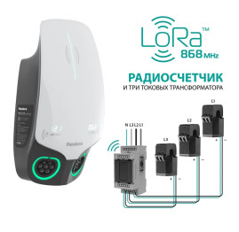Зарядная станция Pandora Wall-E DUO LoRa 22+22кВт