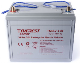 Тяговый аккумулятор EVEREST Energy TNE 12-170 (12В/144Ач/Gel)