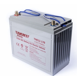 Тяговый аккумулятор EVEREST Energy TNE 12-170 (12В/144Ач/Gel)