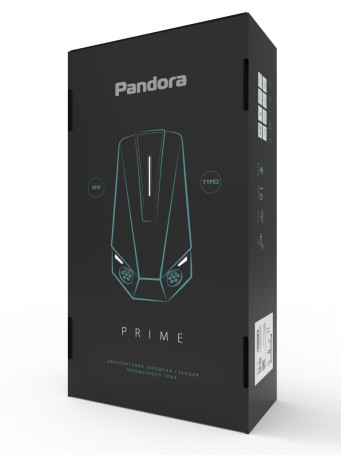 Зарядная станция Pandora Prime 22+22кВт