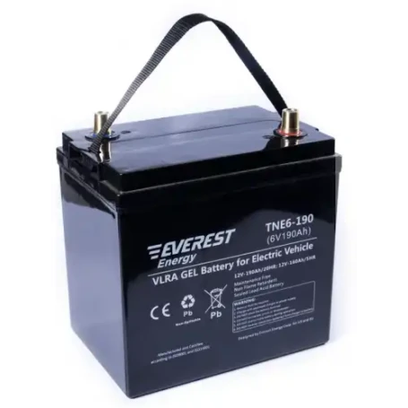 Тяговый аккумулятор EVEREST Energy TNE 6-190 (6В/160Ач/Gel)