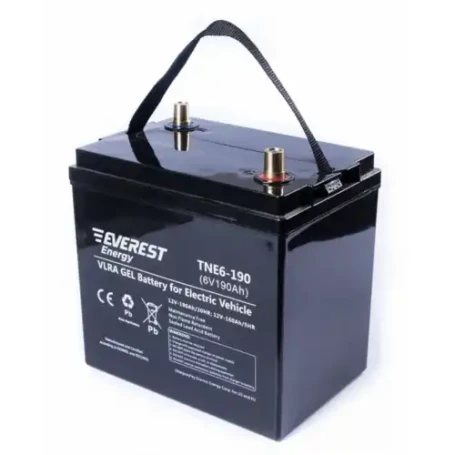Тяговый аккумулятор EVEREST Energy TNE 6-190 (6В/160Ач/Gel)