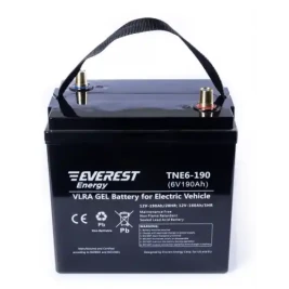 Тяговый аккумулятор EVEREST Energy TNE 6-190 (6В/160Ач/Gel)