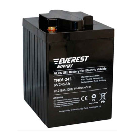Тяговый аккумулятор EVEREST Energy TNE 6-245 (6В/200Ач/Gel)