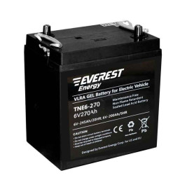 Тяговый аккумулятор EVEREST Energy TNE 6-270 (6В/235Ач/Gel)