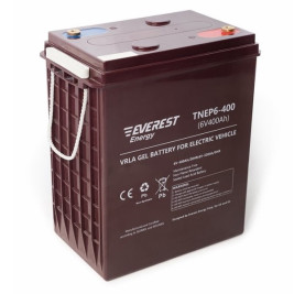 Тяговый аккумулятор EVEREST Energy TNE 6-400 (6В/320Ач/Gel)