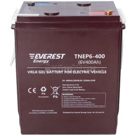 Тяговый аккумулятор EVEREST Energy TNE 6-400 (6В/320Ач/Gel)