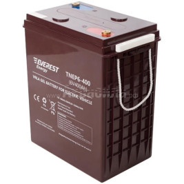 Тяговый аккумулятор EVEREST Energy TNE 6-400 (6В/320Ач/Gel)