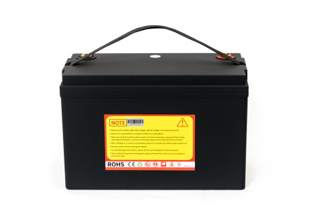 Тяговый аккумулятор EVEREST Energy LFP 24V50Аh PRO