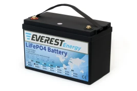 Тяговый аккумулятор EVEREST Energy LFP 24V50Аh PRO