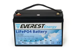 Тяговый аккумулятор EVEREST Energy LFP 24V50Аh PRO