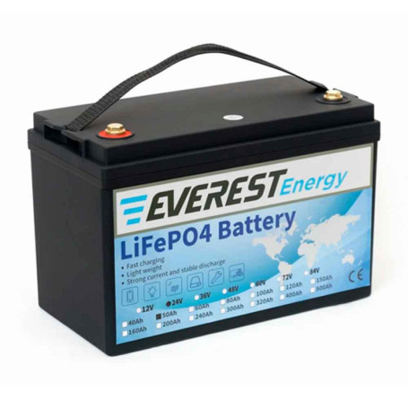 Тяговый аккумулятор EVEREST Energy LFP 24V50Аh PRO