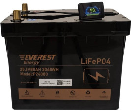 Тяговый аккумулятор EVEREST Energy LFP 24V80Аh PRO