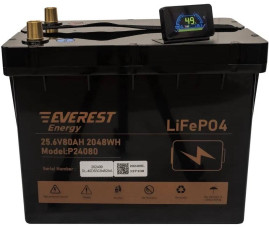 Тяговый аккумулятор EVEREST Energy LFP 24V80Аh PRO