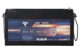 Тяговый аккумулятор RuTrike (48V/50Ah/80A BT/LiFePo4)
