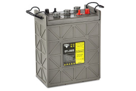 Тяговый аккумулятор RuTrike DT-J305 (6В/271Ач-C5/Wet)