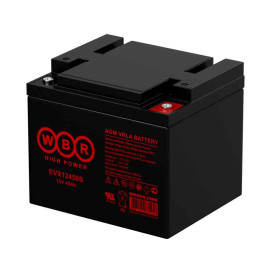 Аккумулятор для ИБП WBR EVX12450S (12В, 45Ач, AGM)