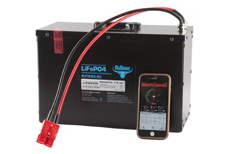 Тяговый аккумулятор RuTrike  (24В/112Ач-C5/LiFePo4)