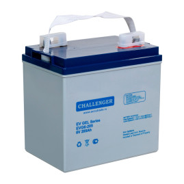 Тяговый аккумулятор Challenger EVG6-205 (6В/174Ач/Gel)