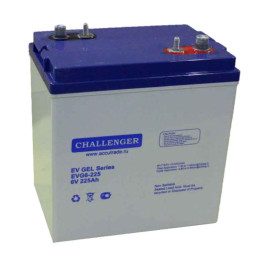 Тяговый аккумулятор Challenger EVG6-225 (6В/191Ач/Gel)