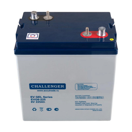 Тяговый аккумулятор Challenger EVG6-225 (6В/191Ач/Gel)