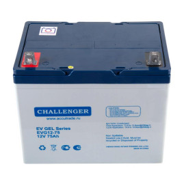 Тяговый аккумулятор Challenger EVG12-75 (12В/64Ач/Gel)