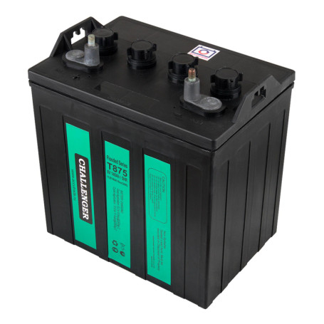 Тяговый аккумулятор Challenger T-875 Ch (8В/140Ач/Wet)