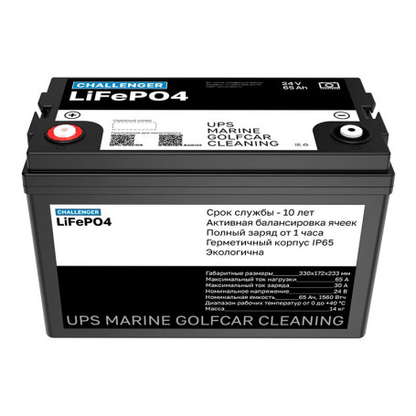 Тяговый аккумулятор Challenger (24В/65Ач/LFP)