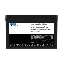 Тяговый аккумулятор Challenger (24В/65Ач/LFP)