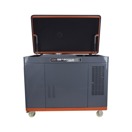 Бензогенератор EVOline QB 12000 E